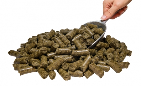 CanaFit Pferde Hanf-Pellets 25 kg